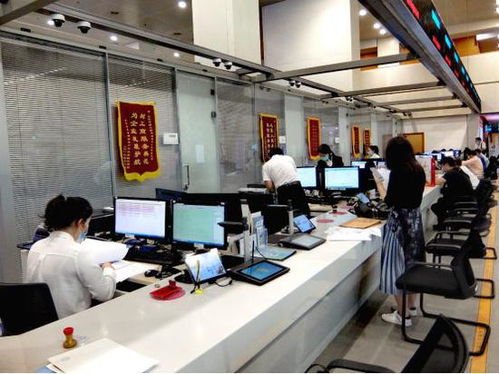 科技賦能，服務百姓——北京順義區創新技術服務模式探秘